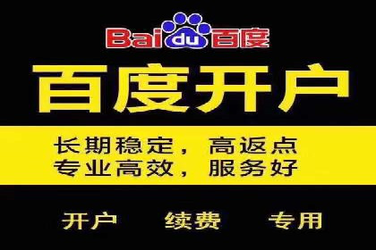 SEM托管服务，成功案例分享转化秘诀